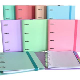 carpeta-ringbook-a4-light-colores-surt-papelería-telli