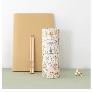 set-lapices-de-colores-wild-flowers-papelería-telli