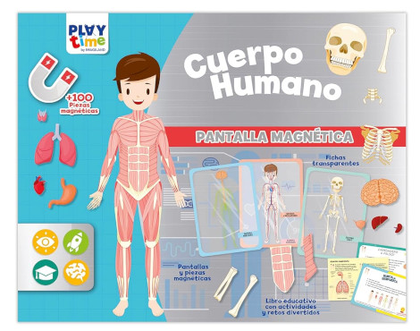 pantalla-magnetica-del-cuerpo-humano-papelería-telli