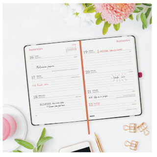 agenda-finocam-capri-f4-svh-26-27-jungla--papelería-telli