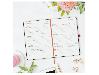 agenda-finocam-capri-f4-svh-26-27-jungla--papelería-telli